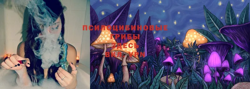 Галлюциногенные грибы MAGIC MUSHROOMS  закладка  Геленджик 